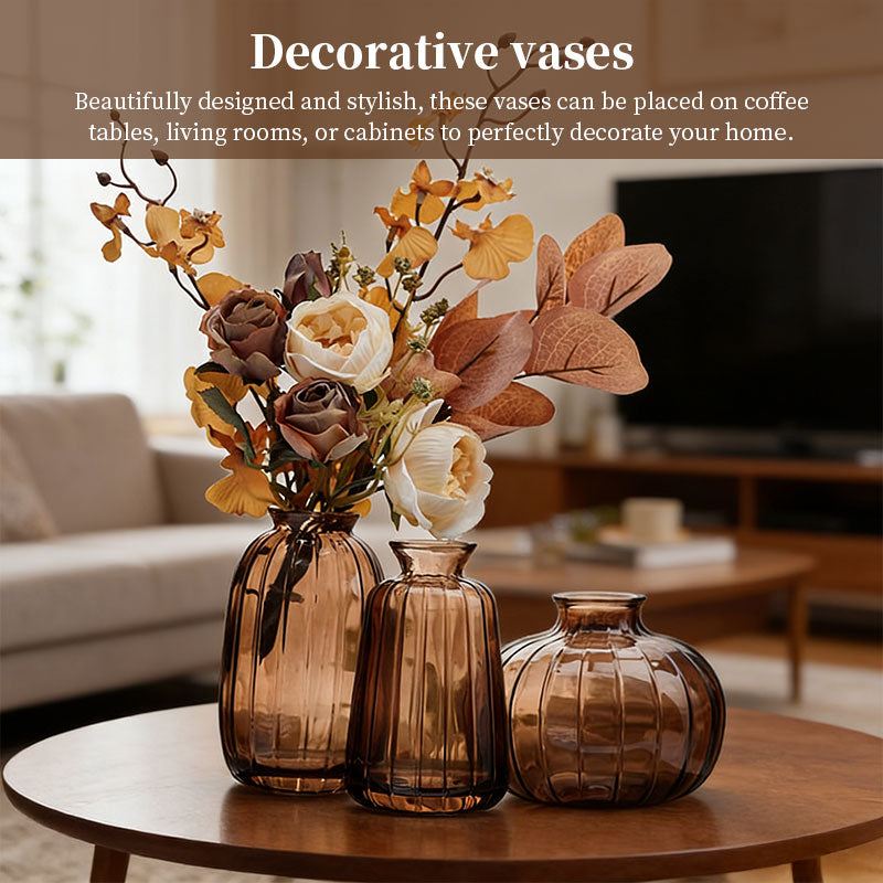 Vintage Glass Vase Set of 3 - Clear Small Hydroponic Flower Vases for Living Room, Home Decor and Centrepieces