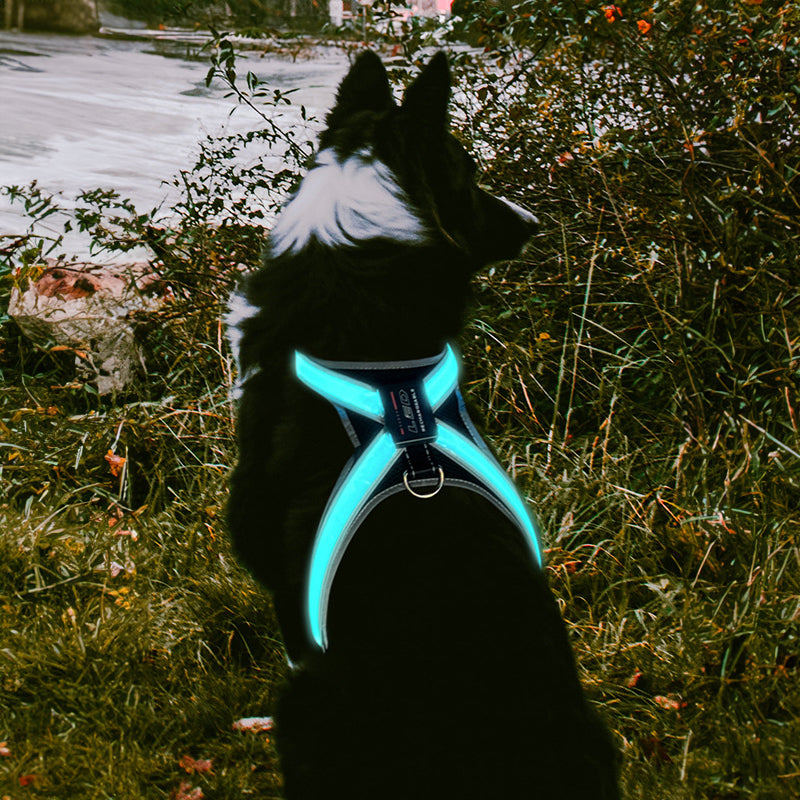 LED Dog Harness Vest – 8-Mode Colour-Changing Light, Reflective & USB Rechargeable