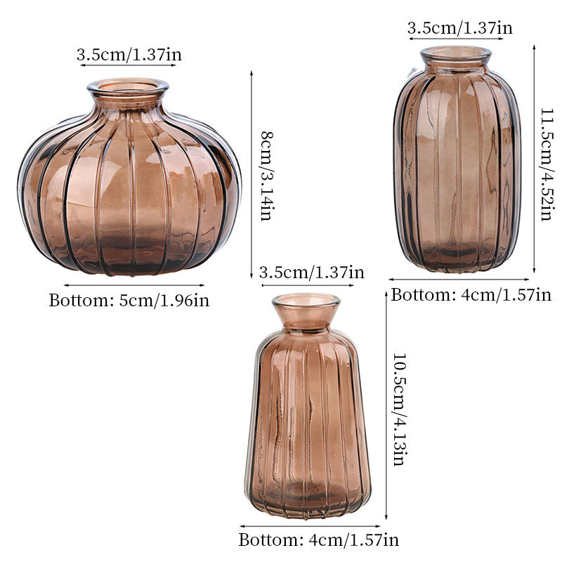 Vintage Glass Vase Set of 3 - Clear Small Hydroponic Flower Vases for Living Room, Home Decor and Centrepieces