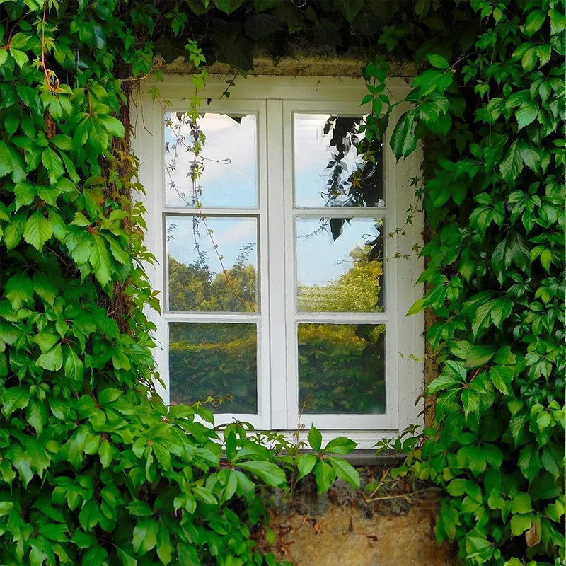 One-Way Window Privacy Film - Static Cling UV Blocking Heat Control Window Tint