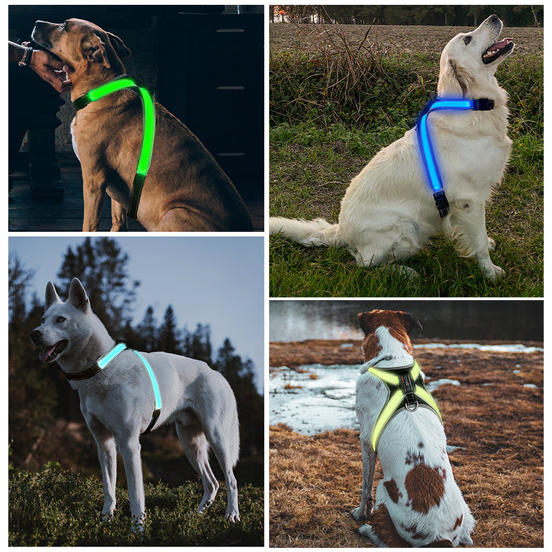 LED Dog Harness Vest – 8-Mode Colour-Changing Light, Reflective & USB Rechargeable