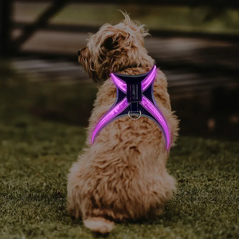 LED Dog Harness Vest – 8-Mode Colour-Changing Light, Reflective & USB Rechargeable