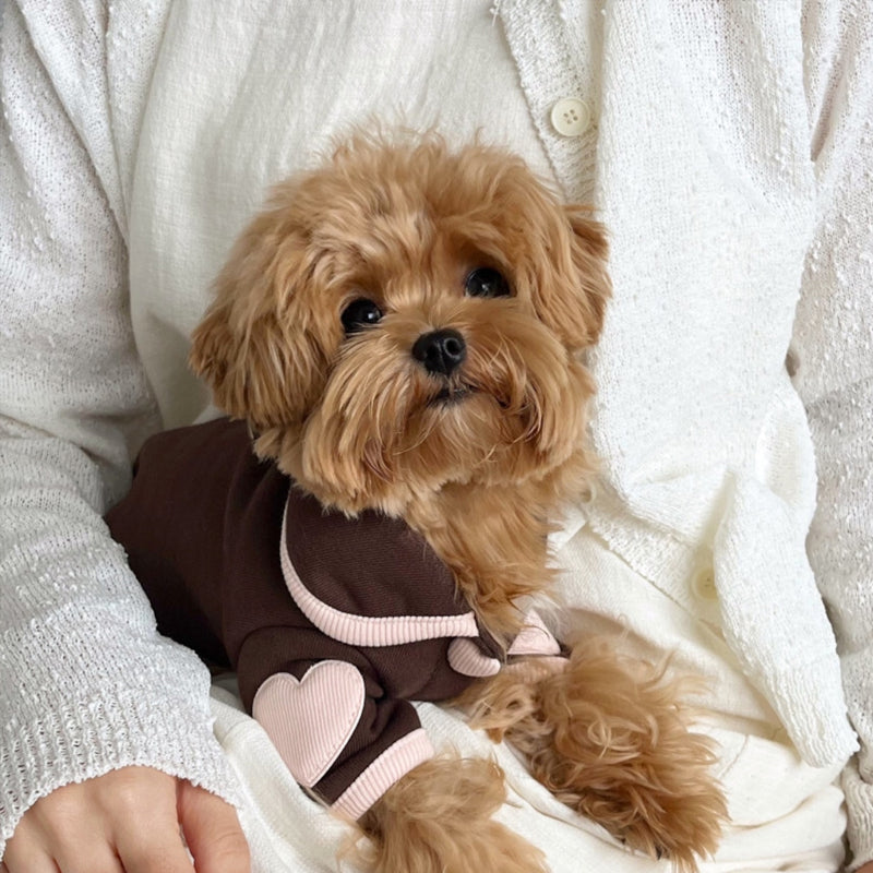 Heart-Print Plush Dog Pyjamas | Warm Winter Onesie for Small Dogs & Cats