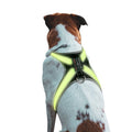 LED Dog Harness Vest – 8-Mode Colour-Changing Light, Reflective & USB Rechargeable