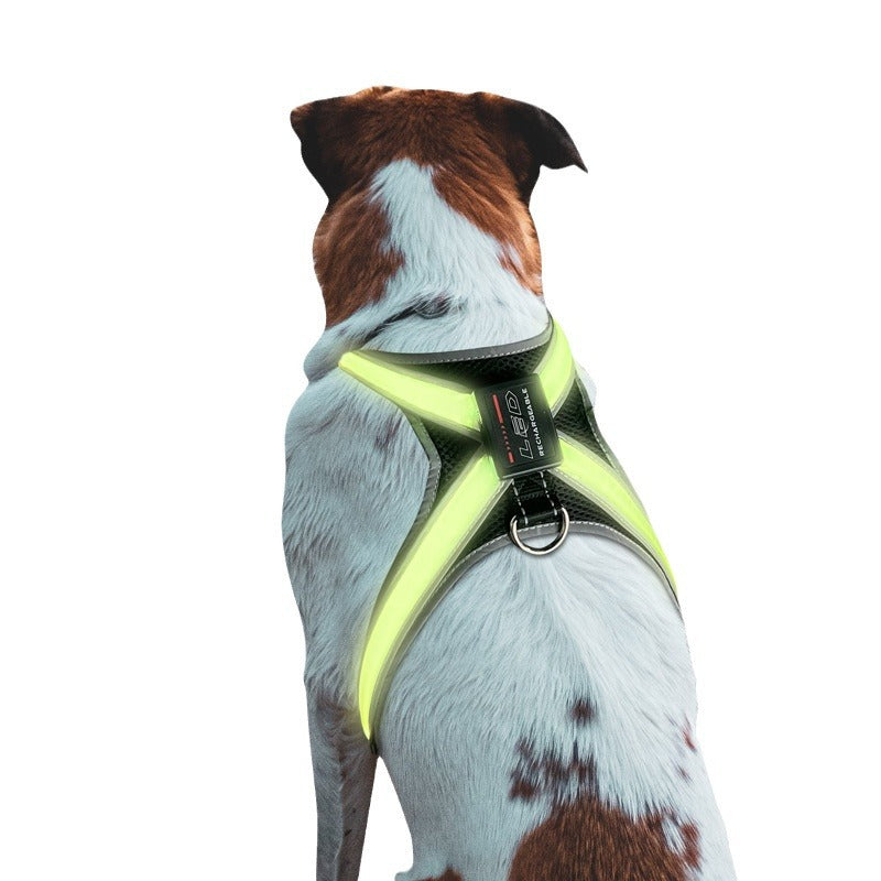 LED Dog Harness Vest – 8-Mode Colour-Changing Light, Reflective & USB Rechargeable